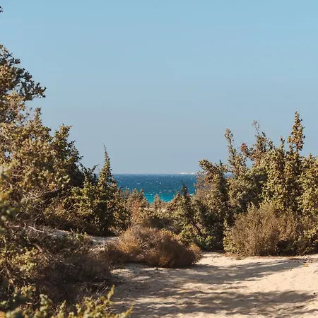 Ammolofos Luxury & *